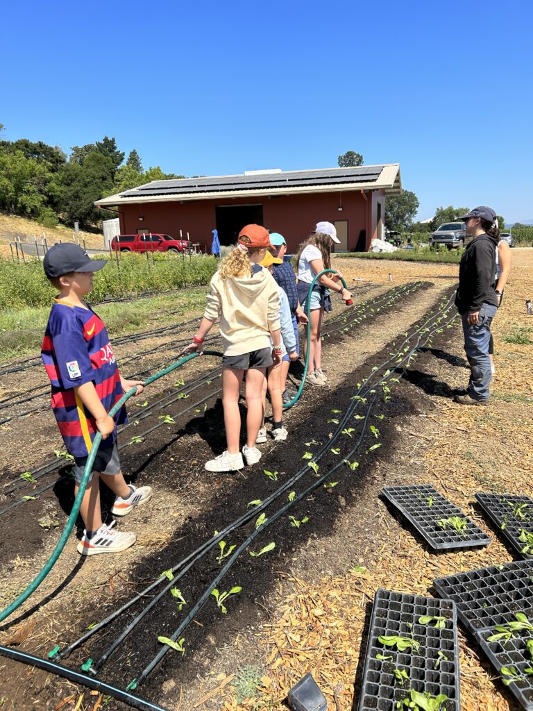 A group of students watering seedlings at Little Saint Farm for AVFilm Summer Film Camp in Healdsburg